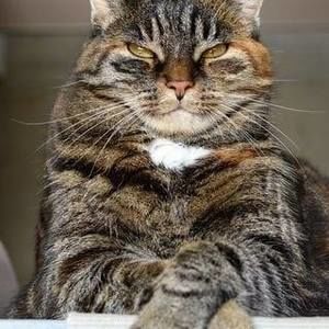 Meet your Posher, Donny